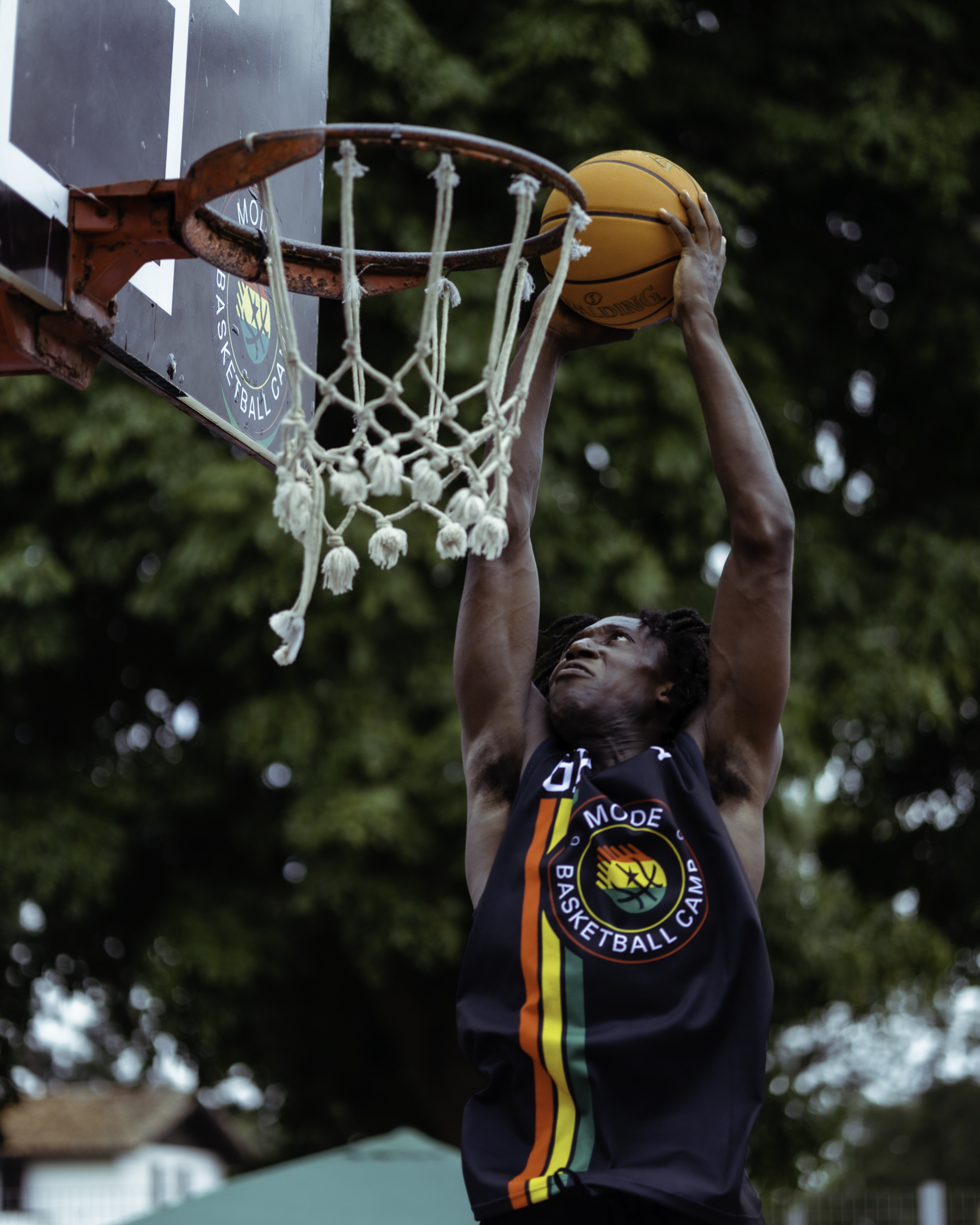 BASKETBALL - Image 6