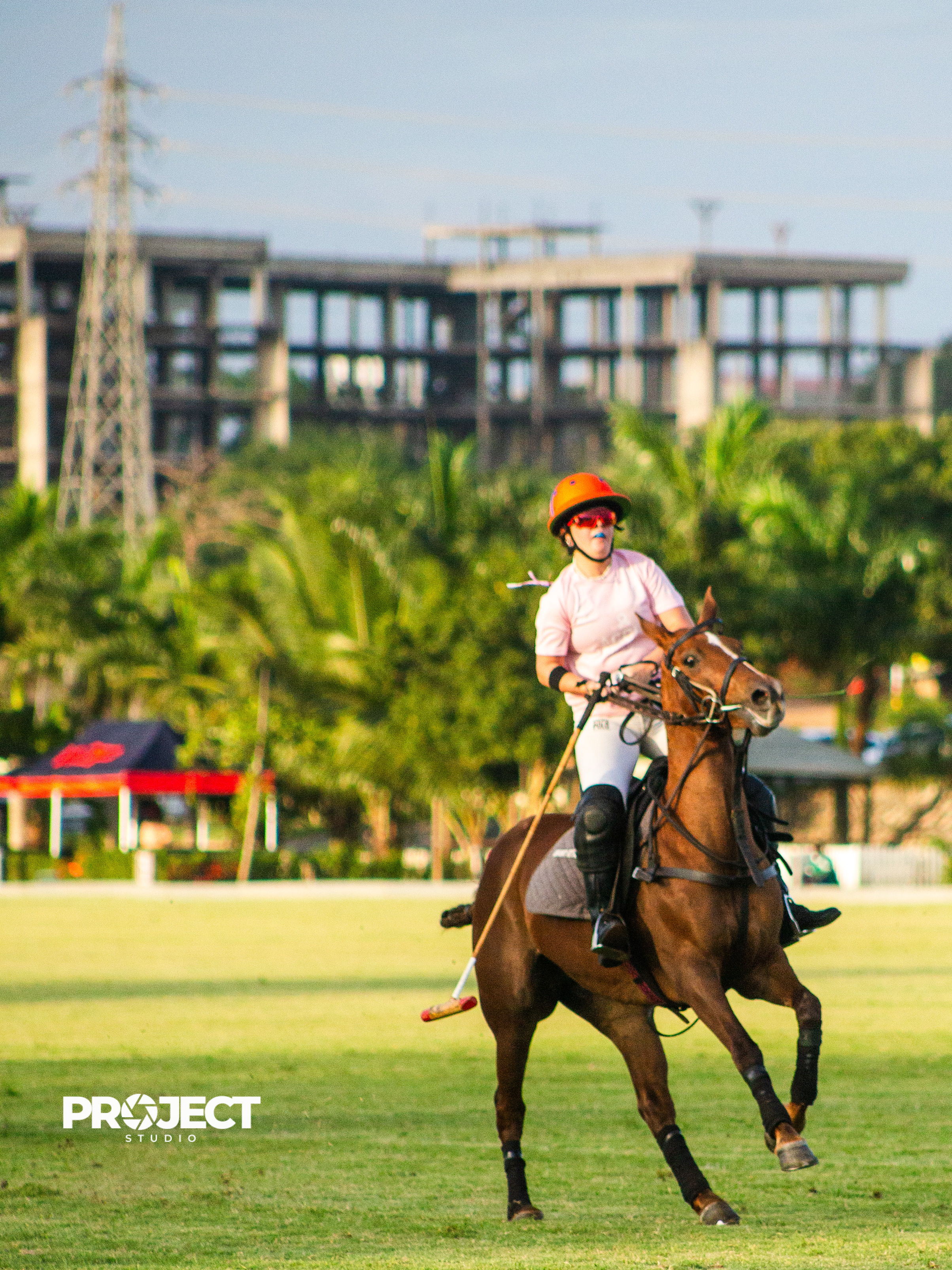 POLO - Image 10