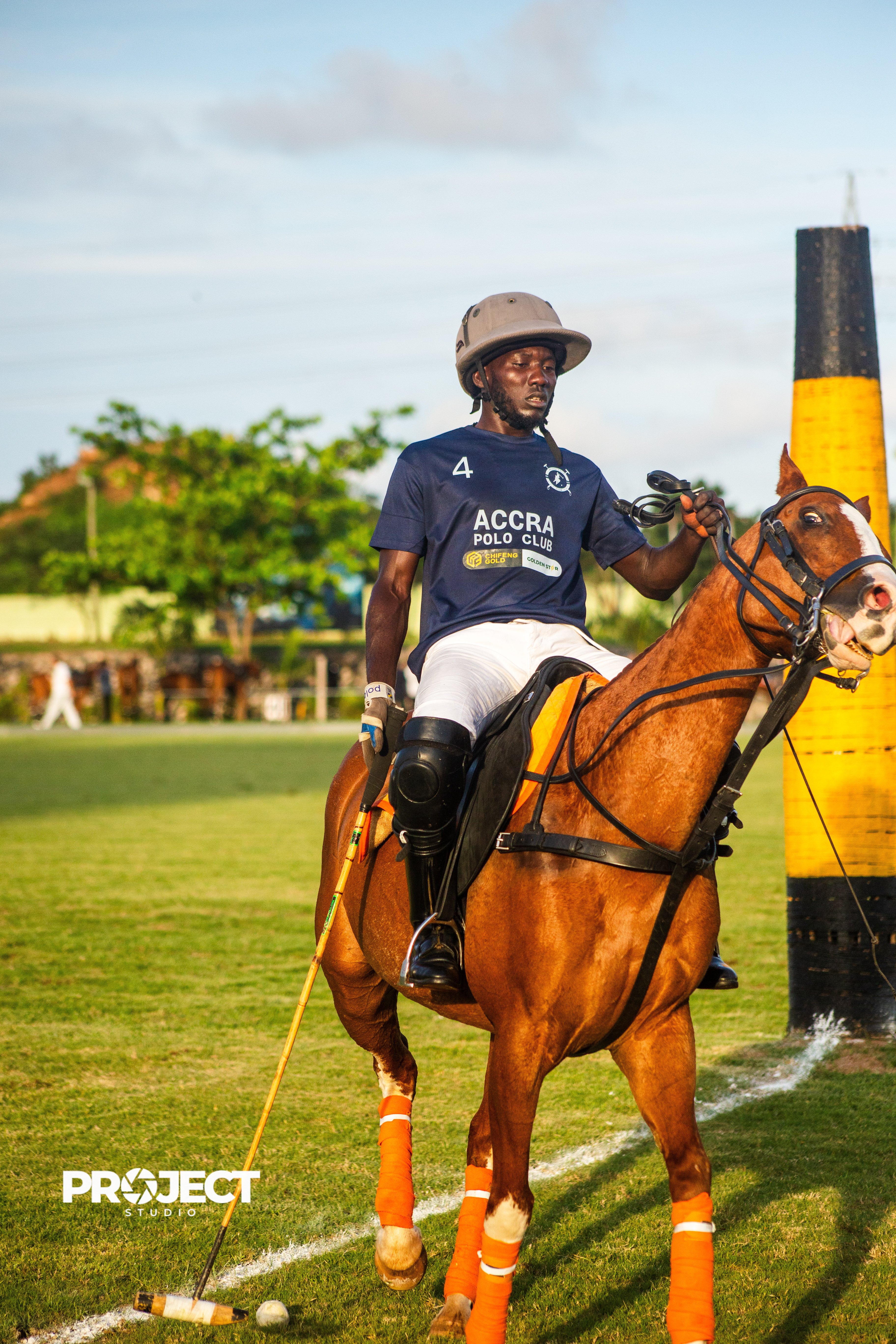 POLO - Image 12