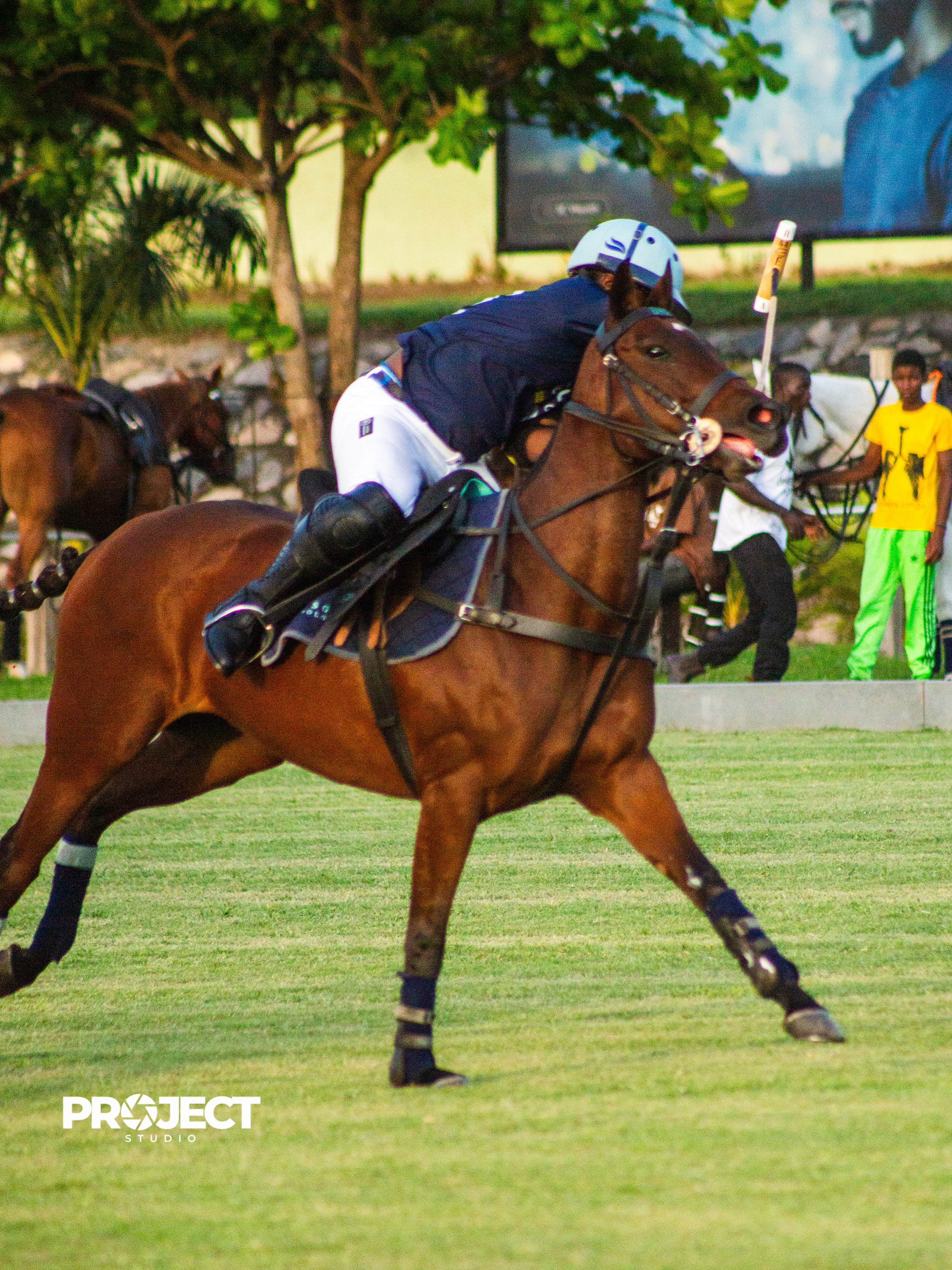 POLO - Image 13