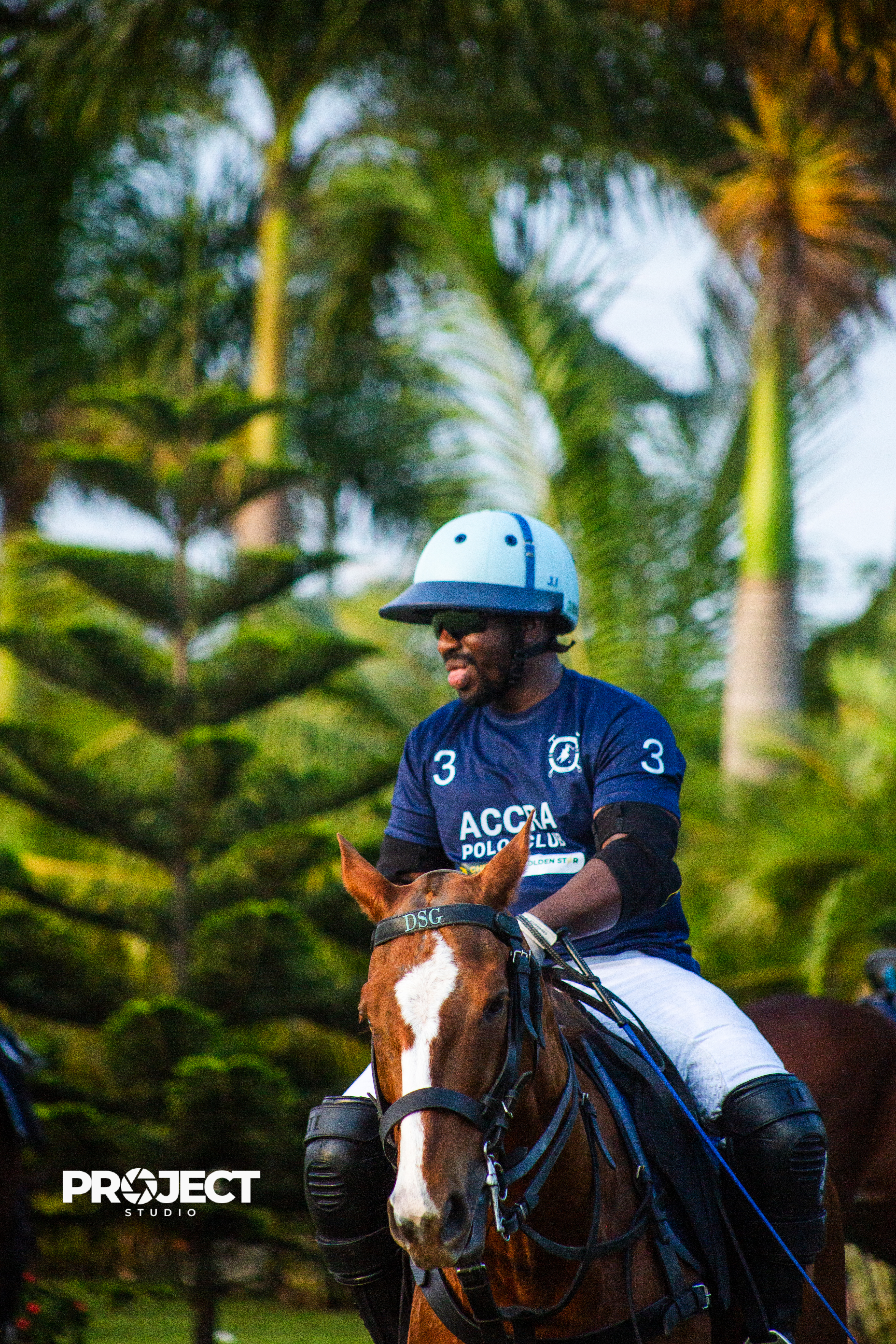 POLO - Image 14