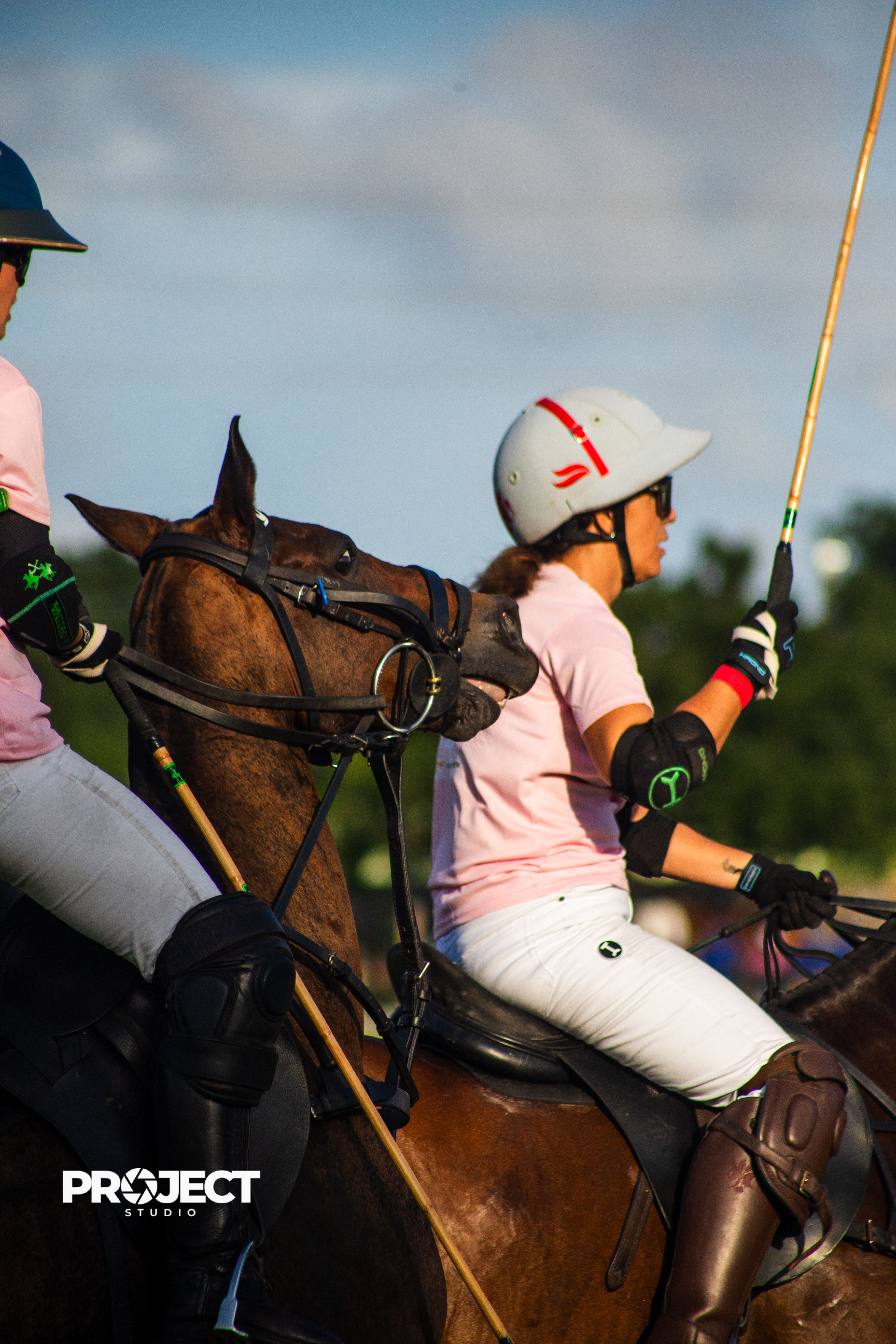 POLO - Image 2