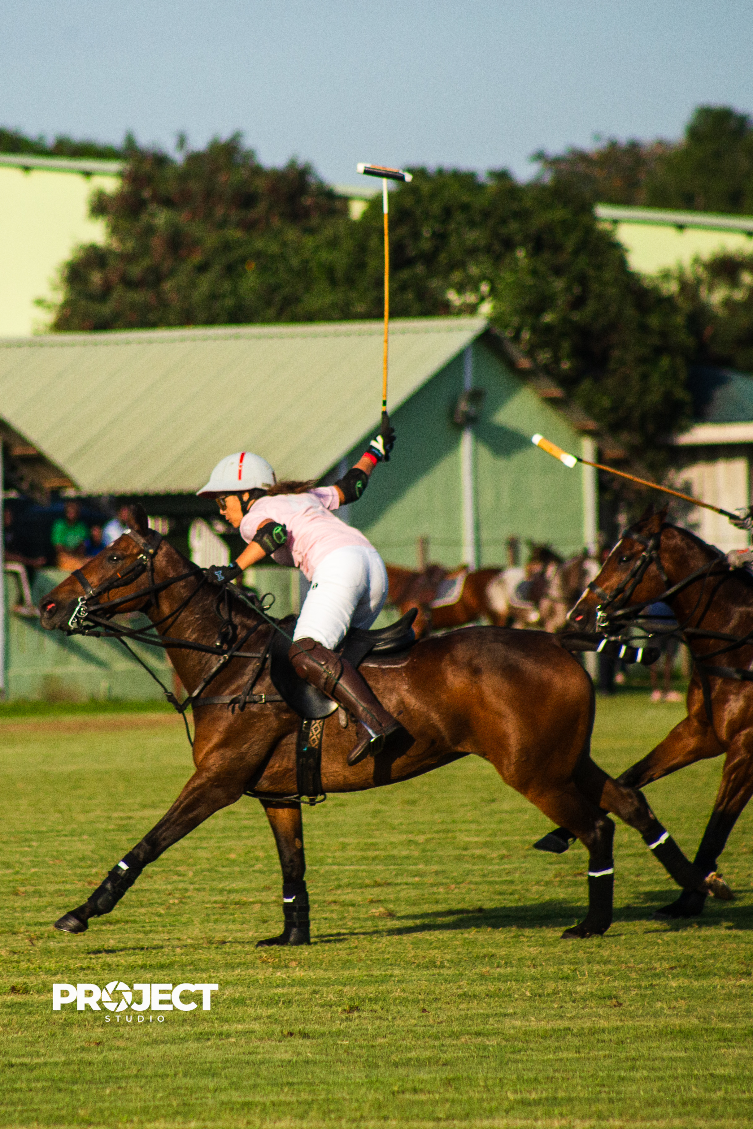POLO - Image 3