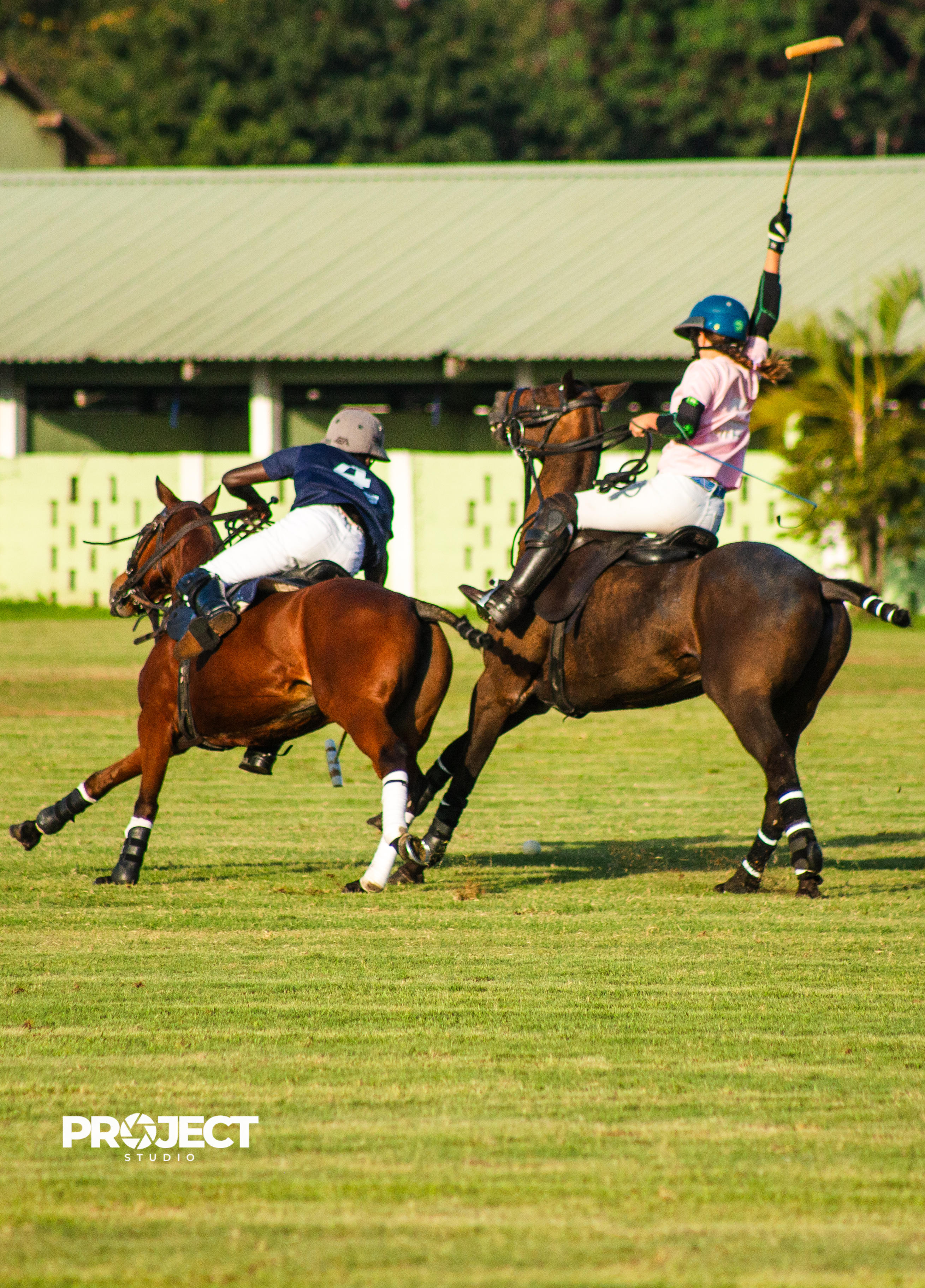 POLO - Image 4