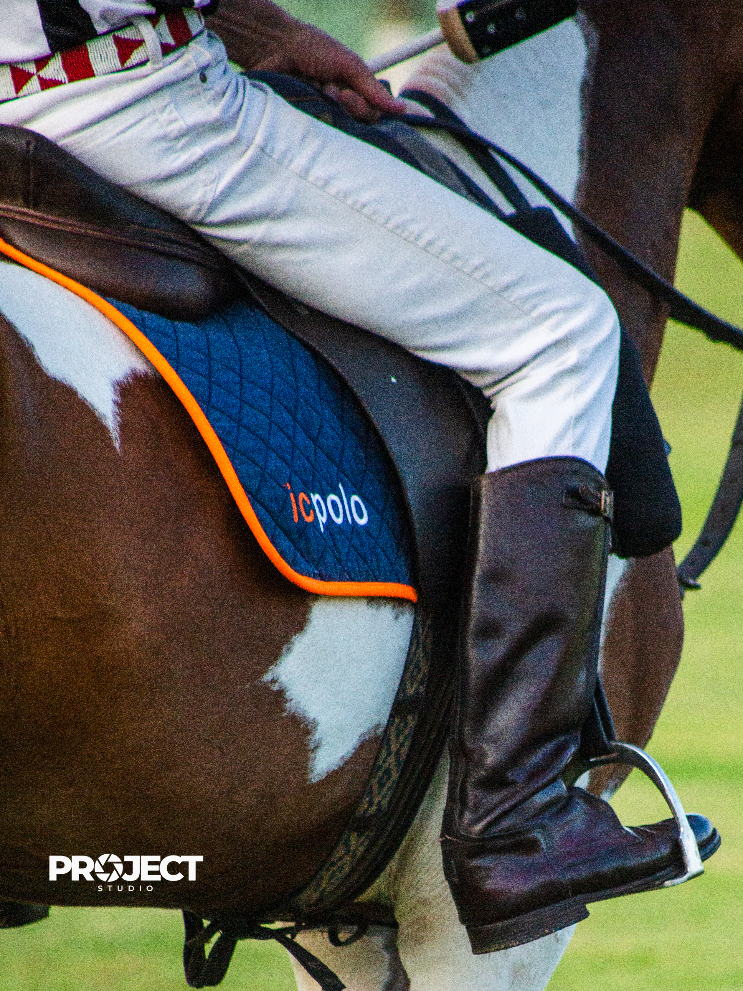 POLO - Image 5