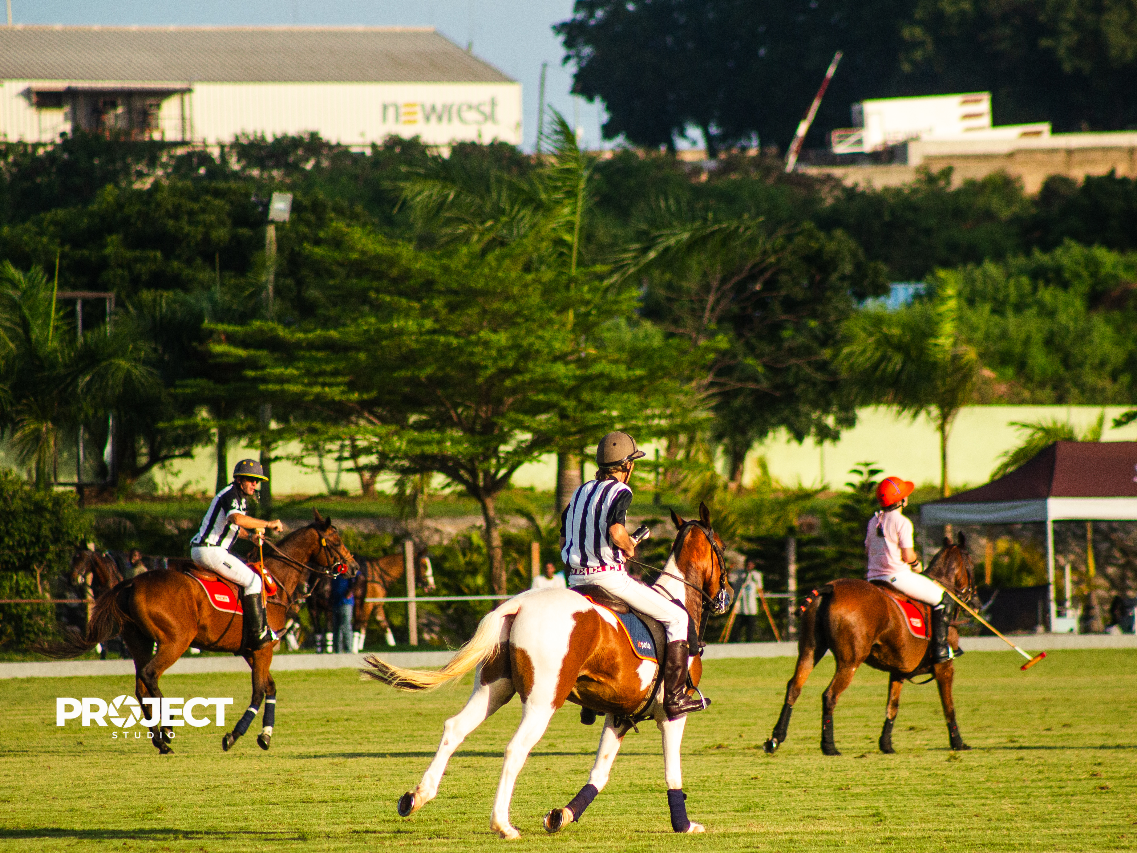 POLO - Image 6