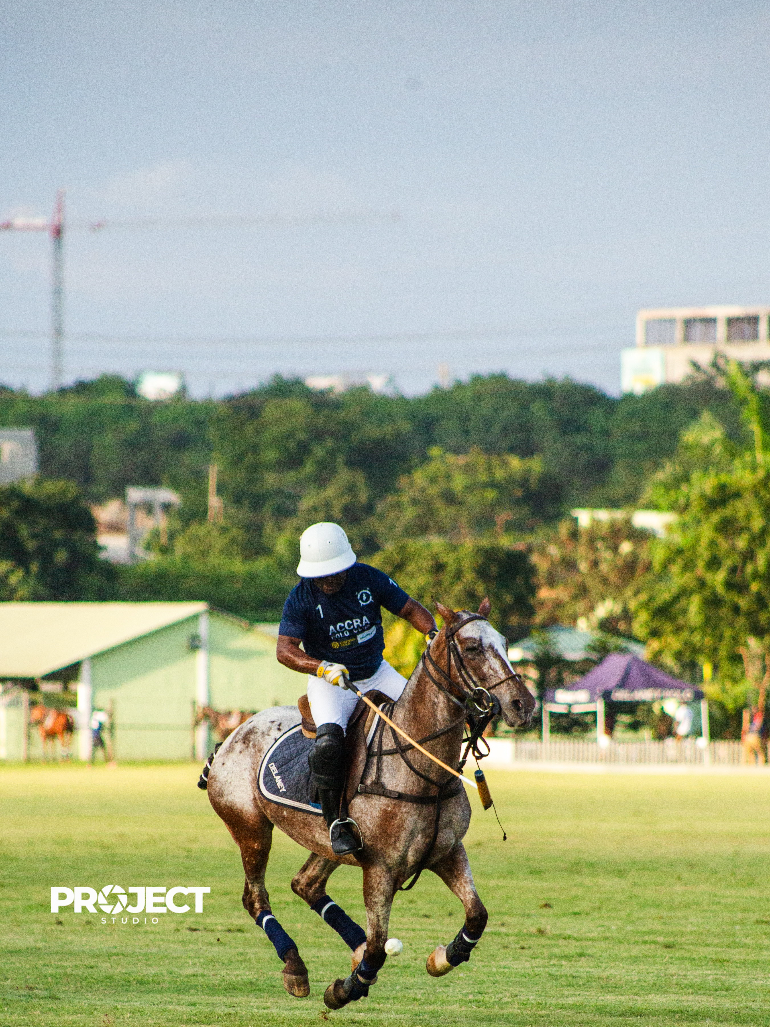 POLO - Image 7
