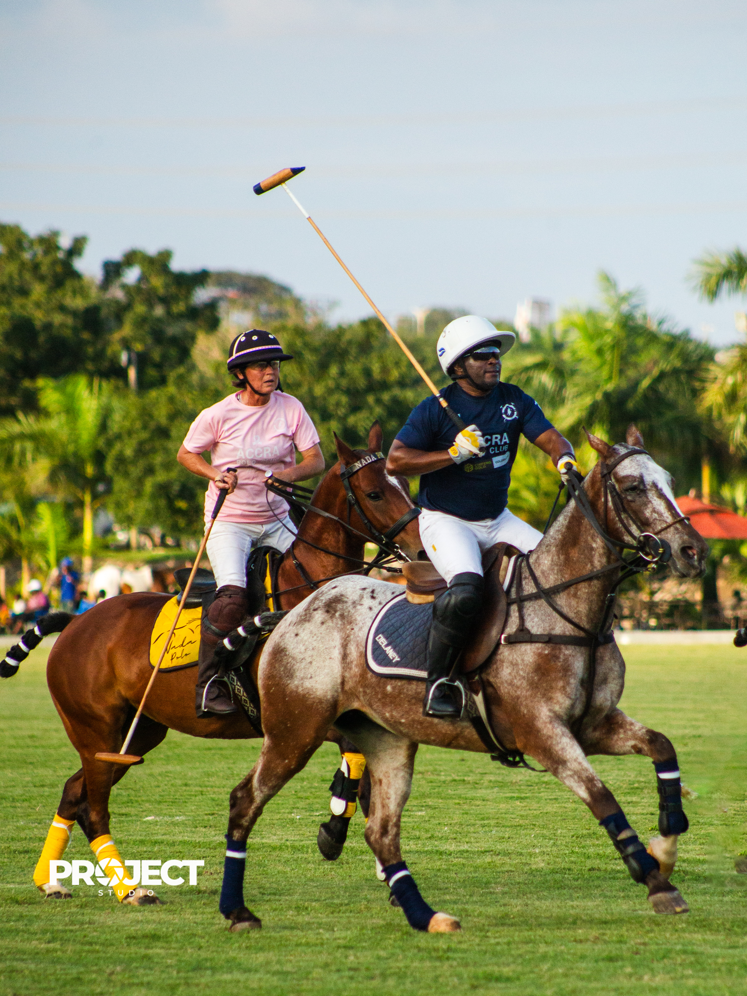 POLO - Image 8