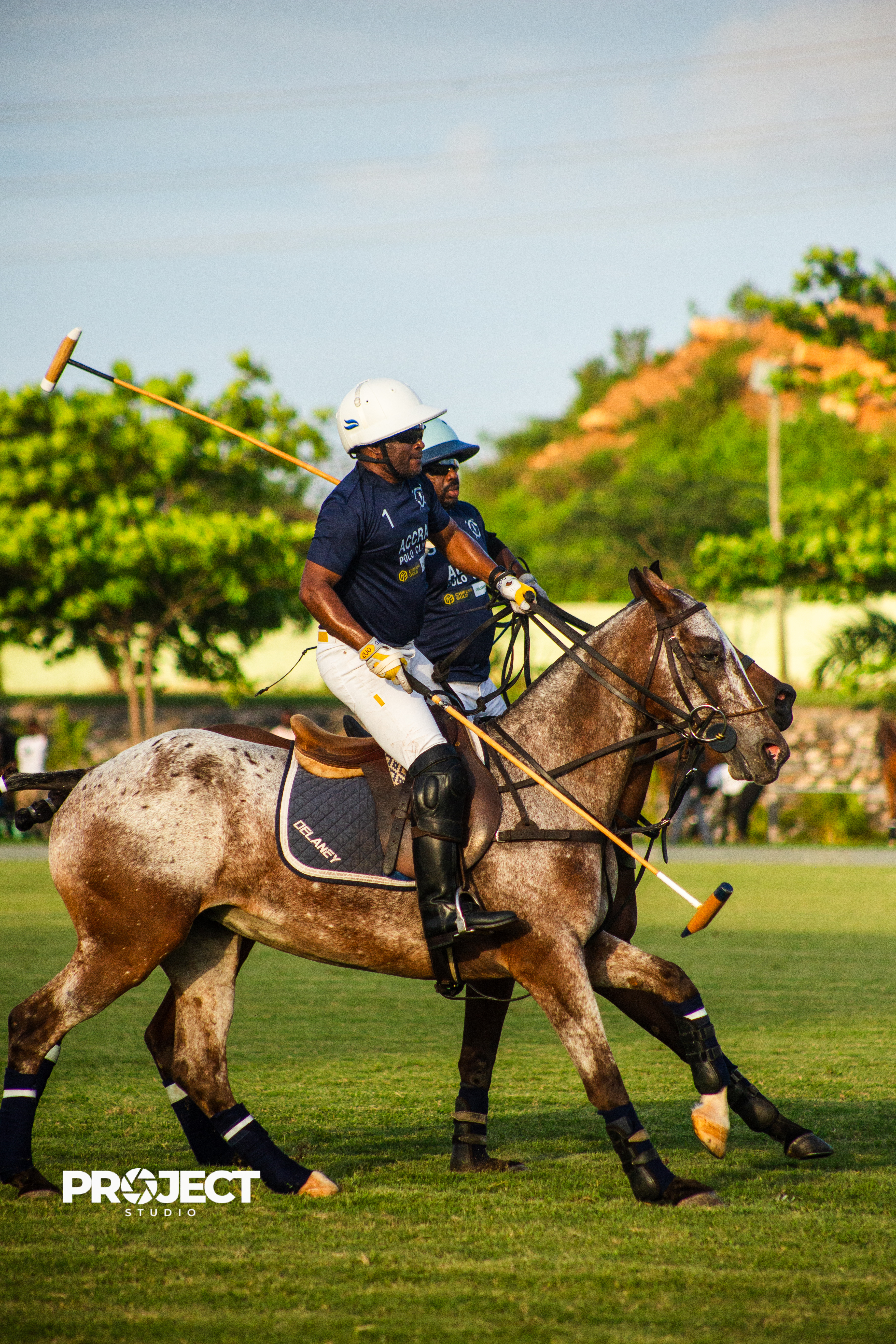 POLO - Image 9